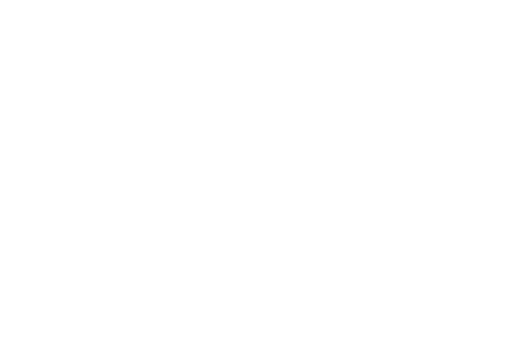 Image of Corporate History