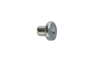 Photo of Rivet